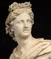 apolbelve_head