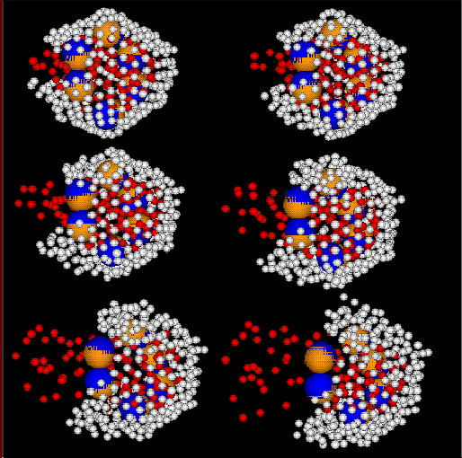ffmed.gif (37288 bytes)